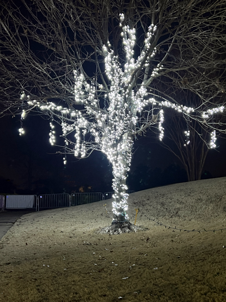 tree with lights