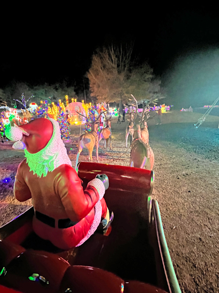 Santa and his reindeer