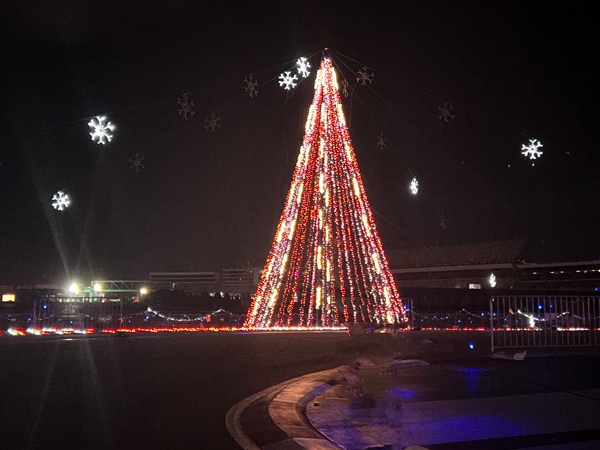 snowflakes and illuminated tree that changed colors