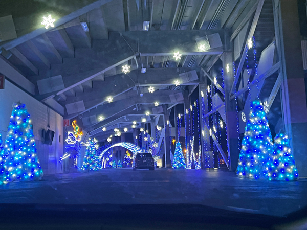 snowflake Christmas tree tunnel