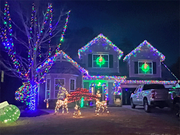 reindeer and a decorated house