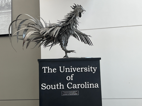 University of South Carolina rooster