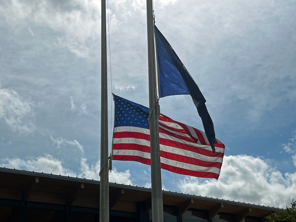 USA flag and SC flag