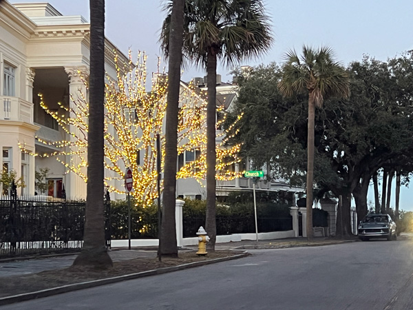 A beautiful tree in lights