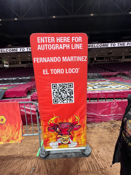 El Toro Loco banner