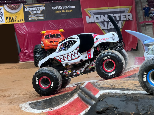 Monster Mutt Dalmatian