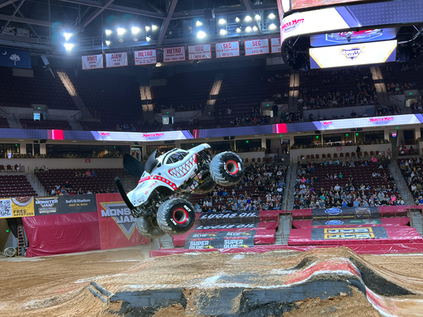 Monster Mutt Dalmatian
