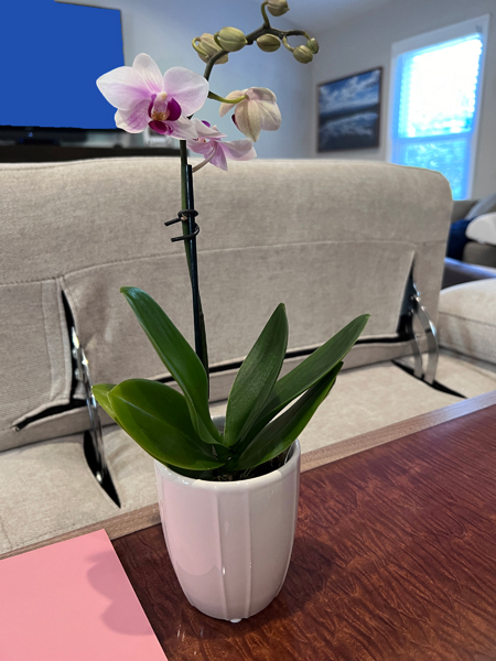 Frower for Karen from her daughter