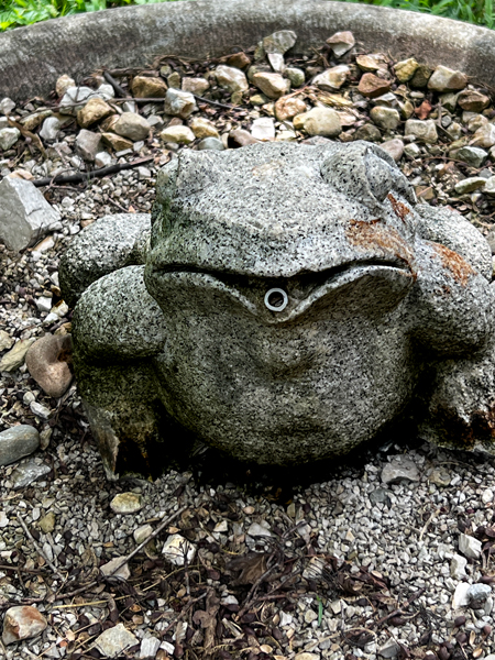 stone frog