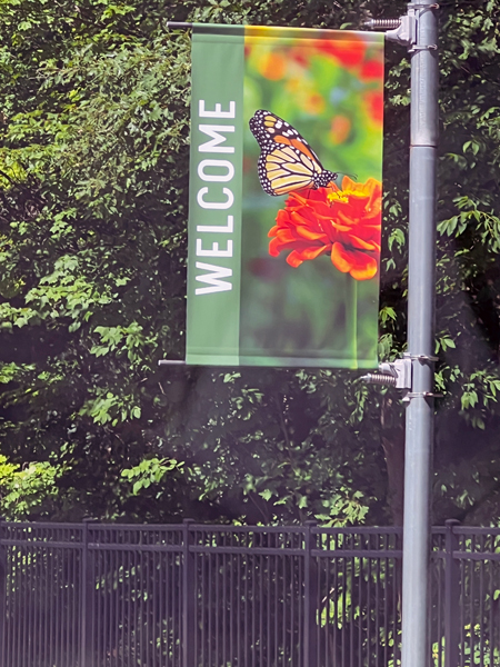 welcome flag 