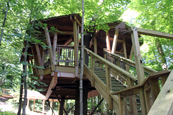 iews of the tree house from below.