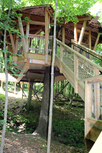 iews of the tree house from below.