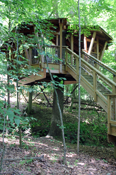 iews of the tree house from below.