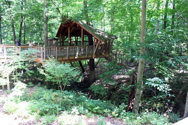 iews of the tree house from below.