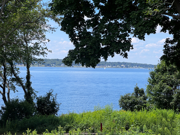 Beautiful scenery by the water