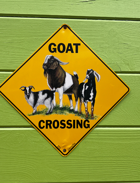 goat crossing sign