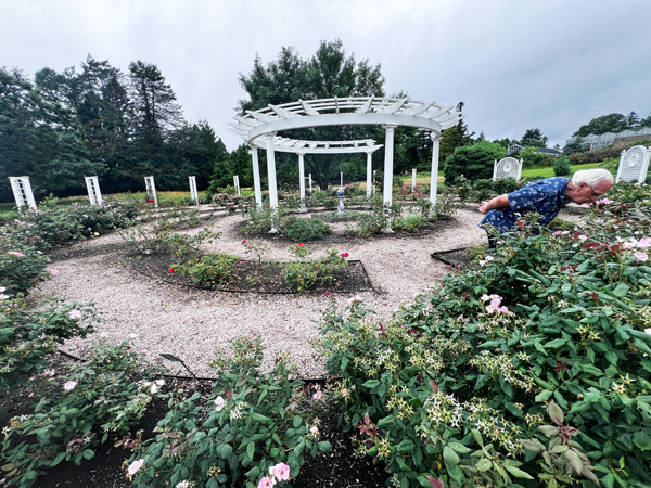Lee Duquette in the Rose Maze Garden