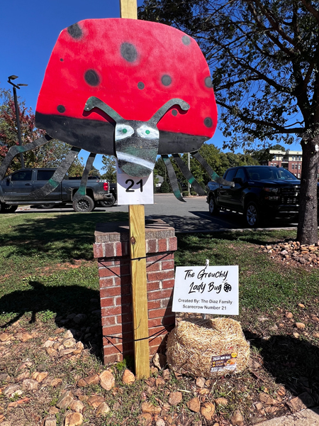 Grouchy Ladybug