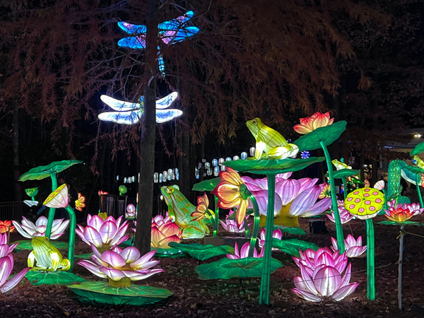 frog, fireflies and flowera
