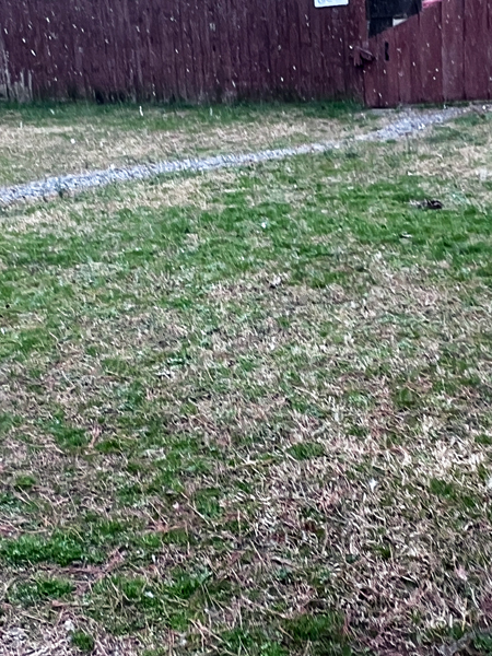 snow in South Carolina