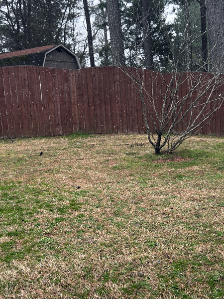 snow in South Carolina