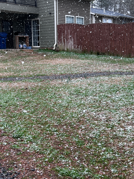 snow in South Carolina