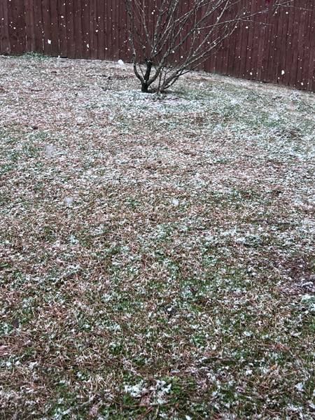 snow in South Carolina