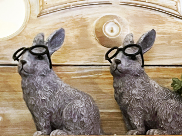two rabbits with glasses on