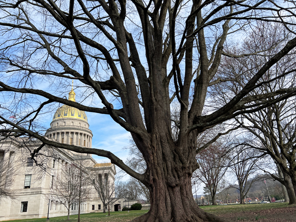 The West Virginia Capitol Building in 2025