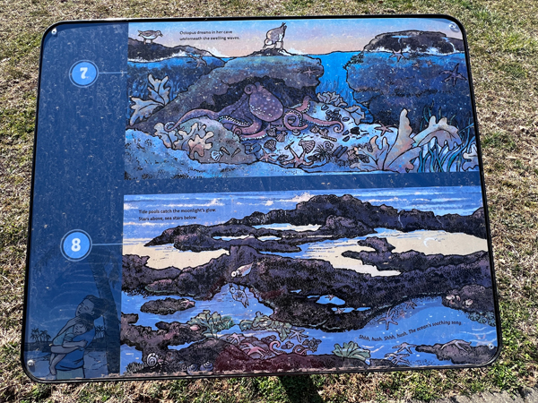 the Storybook Trail,