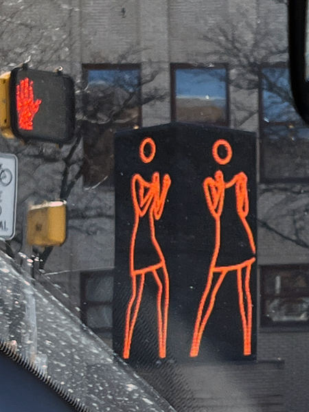 street crossing light