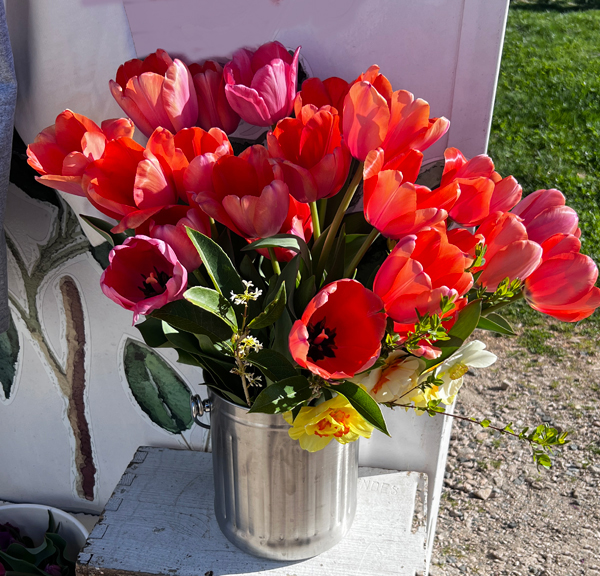 tulips near the Five Blossom Bar
