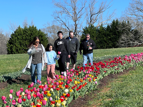 family and the tulips