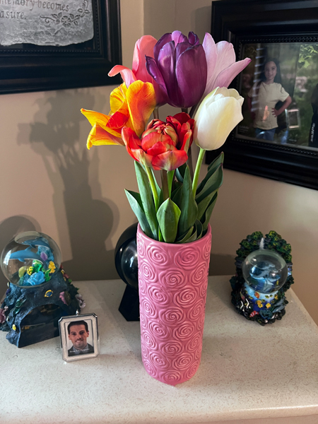 tulips