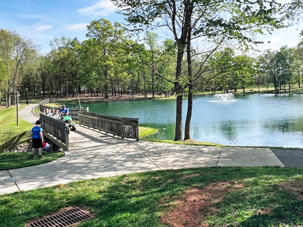 the pond
