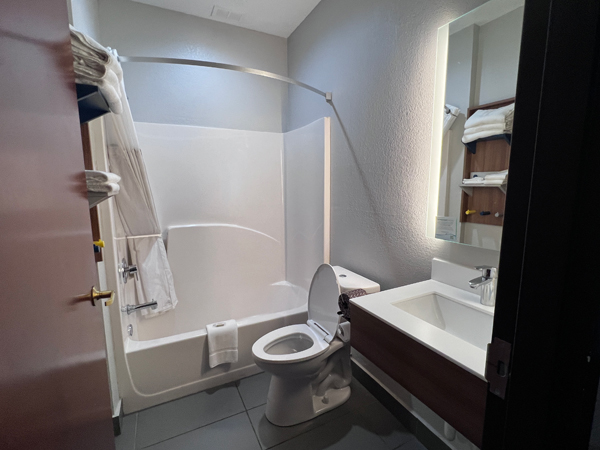 Microtel Inn & Suites by Wyndham bathroom