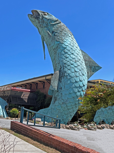 a big fish at the Atlanta Fish Market