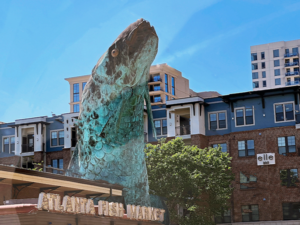 a big fish at the Atlanta Fish Market
