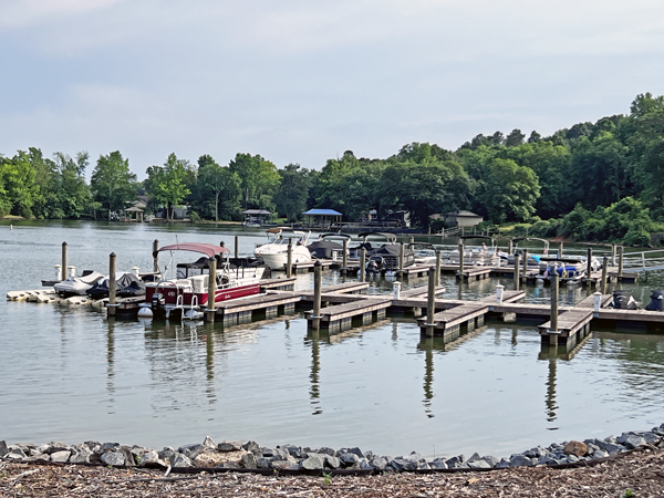 Morinstar Marina