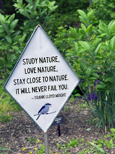 nature sign