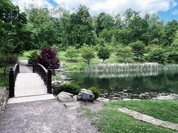 Vibrant Pond and bridge