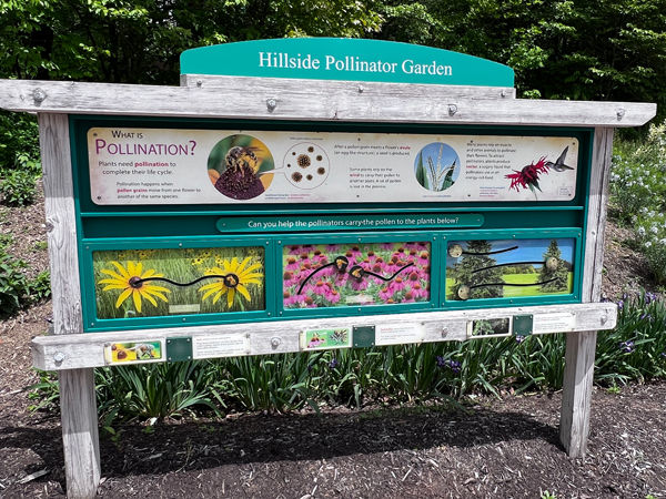 Hillside Pollinator Garden sign