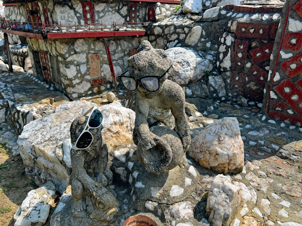 Monkeys with glasses