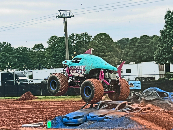 Kayley Eavestrong in Shark Atttack