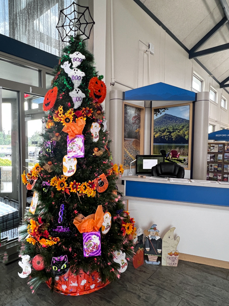 Halloweedn dcorated tree in the gift shop
