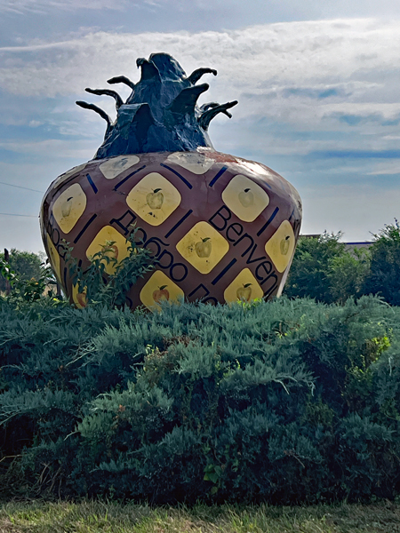 big pineapple