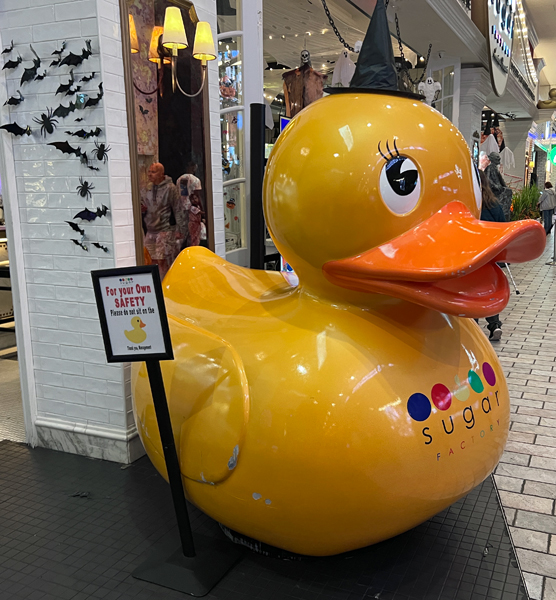a giant duck wearing a witch hat