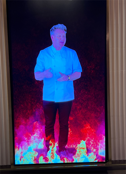 Gordon Ramsay in Hell's Kitchen