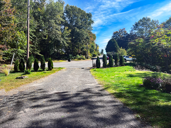 View of Frankie Lane