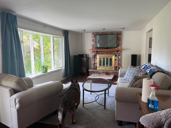 living room, fireplace and bay window